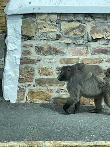 Capetown, South Africa